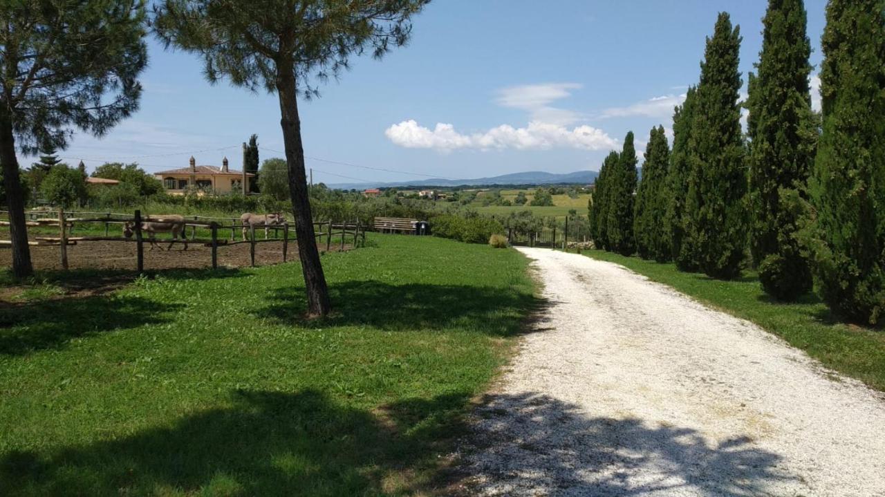 Agriturismo Casale San Benedetto Ceri Екстериор снимка
